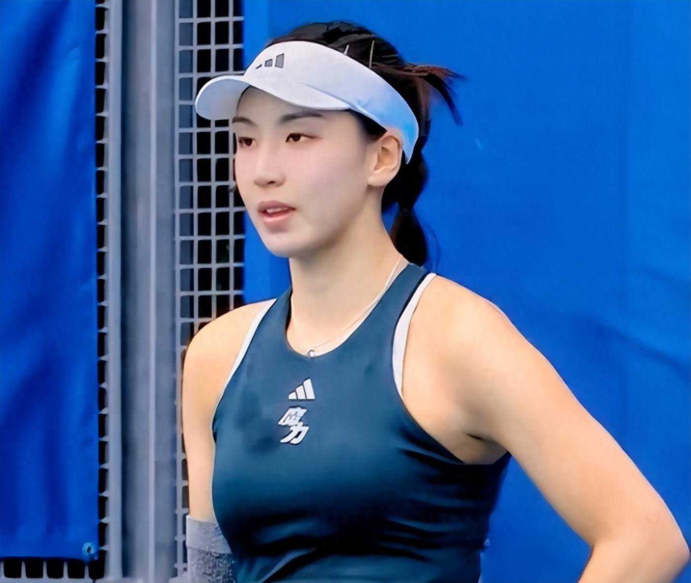 社会的反应 社会的反应