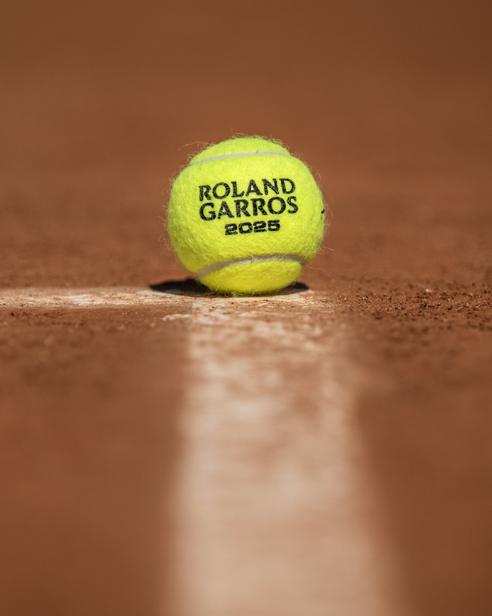 揭示比赛背 揭示比赛背