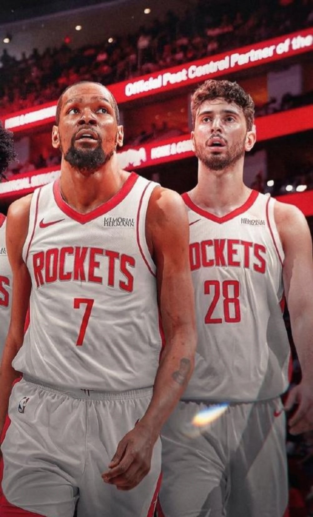 损失厌恶 损失厌恶